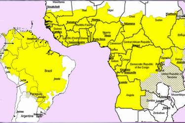 Countries that require yellow fever vaccine